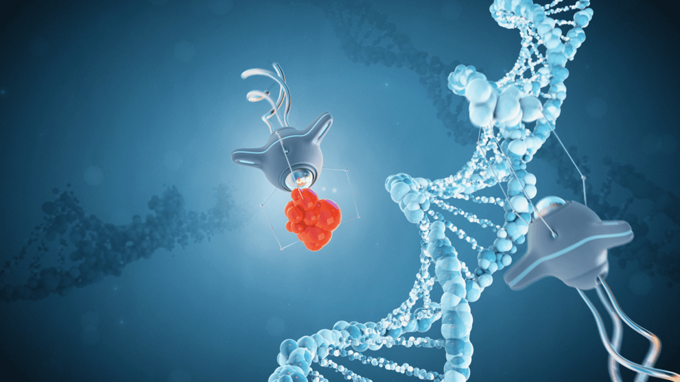 Tiny biological robots help the healing processes